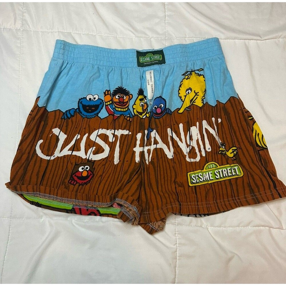 2011 Y2K Sesame Street Characters Cartoon Boxer Sleep PJ Pajama Shorts Sz XL 00s